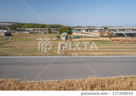 Spring rural scenery, Kyotanabe City, Kyoto Prefecture 137268034