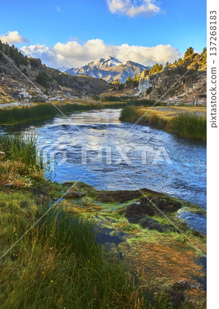 Snowcapped Mountain Reflected in River with Grassy Banks and Hot Spring Eastern Sierra Snowcapped Mountain Reflected in River with Grassy Banks and Hot Spring Eastern Sierra 137268183
