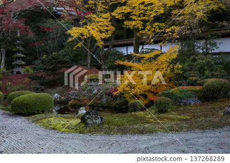 在秋日靜謐的花園裡 在秋日靜謐的花園裡 137268289