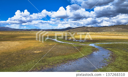 Aerial River Spring Lakes Ecological Reserve Meandering River and Vast Grassland 137268310