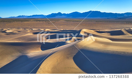 Aerial Sand Dunes and Mountain Landscape in Sunlit Nevada Desert Aerial Sand Dunes and Mountain Landscape in Sunlit Nevada Desert 137268388