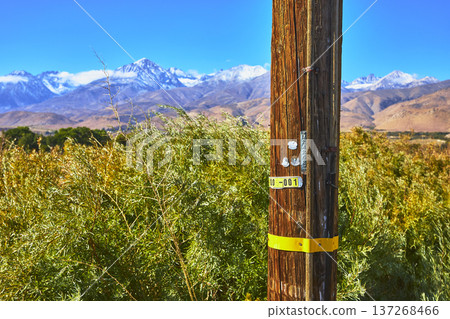 Telephone Pole and Green Shrubs with Snow Capped Mountains along Highway 395 California Telephone Pole and Green Shrubs with Snow Capped Mountains along Highway 395 California 137268466