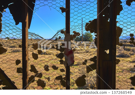 Abandoned Chicken Wire Fence and Broken Plaster Frame in California Desert Ruin 137268549
