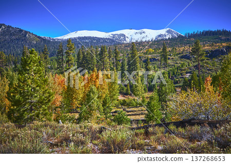 Snow Capped Mountain Forest and Autumn Foliage in Scenic California Landscape Snow Capped Mountain Forest and Autumn Foliage in Scenic California Landscape 137268653