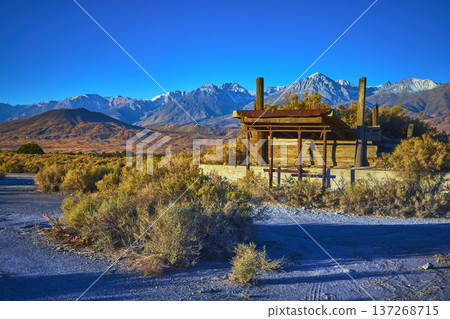 Abandoned Wooden Building in Owens Valley with Snow Capped Mountains and Wild Sagebrush 137268715