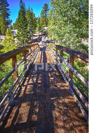 Wooden Bridge and Pine Forest Pathway in Sunlight California Wilderness Wooden Bridge and Pine Forest Pathway in Sunlight California Wilderness 137268894