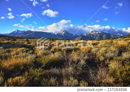 Snow Capped Sierra Mountains and High Desert Grasses Under Blue Sky Snow Capped Sierra Mountains and High Desert Grasses Under Blue Sky 137268898