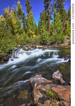 Mountain River Rushing Over Rocks With Lush Forest Under Blue Sky Mountain River Rushing Over Rocks With Lush Forest Under Blue Sky 137268956