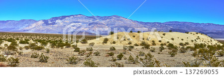 Panorama Sand Dune and Mountain Landscape Under Blue Sky in Death Valley California Panorama Sand Dune and Mountain Landscape Under Blue Sky in Death Valley California 137269055