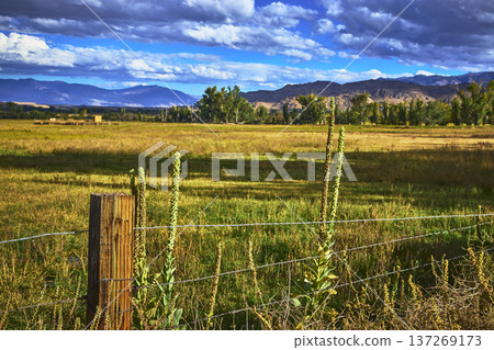 Pasture Fence and Wild Plants with Dramatic Mountain View in Warm Afternoon Light Pasture Fence and Wild Plants with Dramatic Mountain View in Warm Afternoon Light 137269173