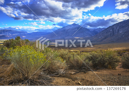 Sierra Nevada Mountain Valley and Wild Sagebrush Under Dramatic Sky Sierra Nevada Mountain Valley and Wild Sagebrush Under Dramatic Sky 137269176