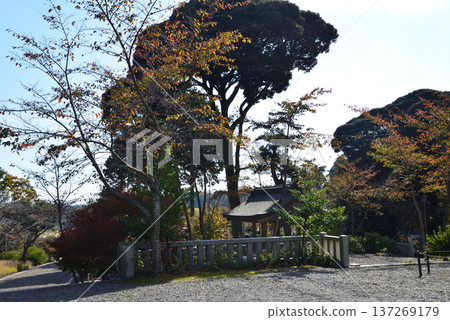 2025年11月8日 喜樂園紅葉谷的秋葉 #12 2025年11月8日 喜樂園紅葉谷的秋葉 #12 137269179
