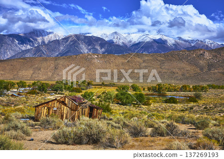 Abandoned Cabin with Snow Capped Mountains and Desert Landscape in California 137269193