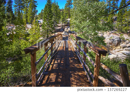 Wooden Bridge in Lush Forest with Rocky Terrain and Blue Sky Wooden Bridge in Lush Forest with Rocky Terrain and Blue Sky 137269227