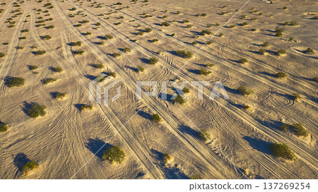 Aerial Sand Dune Desert Landscape With Tracks and Scattered Vegetation Aerial Sand Dune Desert Landscape With Tracks and Scattered Vegetation 137269254