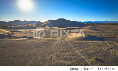 Aerial Big Dune Sand Dune Tracks and Desert Landscape Nevada Aerial Big Dune Sand Dune Tracks and Desert Landscape Nevada 137269258