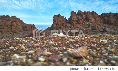 Red Rock Formations and Desert Landscape Ground Level View Nevada Red Rock Formations and Desert Landscape Ground Level View Nevada 137269310