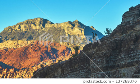 Golden Hour Red Rock Canyon Desert Landscape with Mountains and Cactus Golden Hour Red Rock Canyon Desert Landscape with Mountains and Cactus 137269370