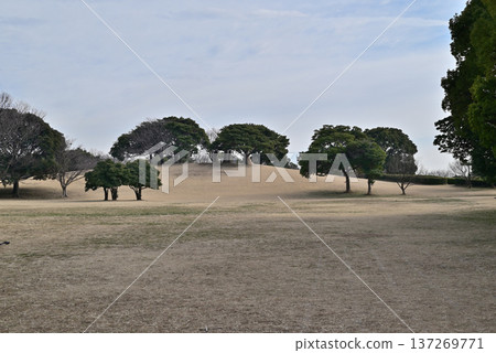千葉港公園的草坡 137269771