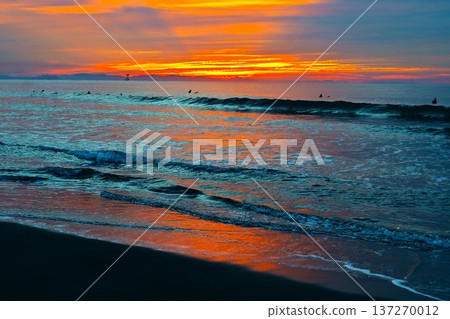 海浪的旋律拍打著我的心。 137270012
