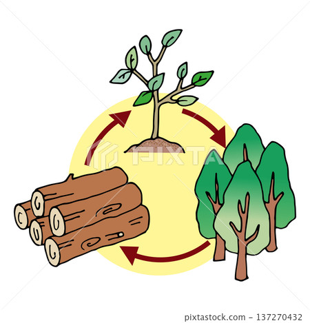 森林資源的流通與永續循環 137270432