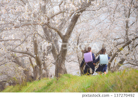 國小入學及上下學交通 137270492