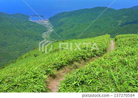 Izu Peninsula: Toda Fishing Port overlooked from the summit of Mount Daruma on the Izu Mountain Ridge Trail Izu Peninsula: Toda Fishing Port overlooked from the summit of Mount Daruma on the Izu Mountain Ridge Trail 137270584