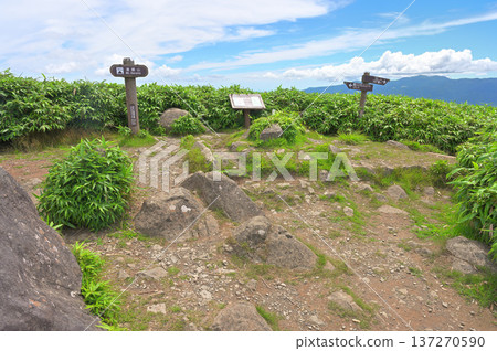 Izu Peninsula's Izuyama Ridge Trail: The summit of Mount Daruma in summer Izu Peninsula's Izuyama Ridge Trail: The summit of Mount Daruma in summer 137270590