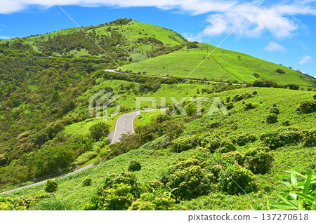 伊豆半島伊豆山脊步道:夏季從小達摩山阿塞比加拉眺望達摩山和西伊豆天際線 伊豆半島伊豆山脊步道:夏季從小達摩山阿塞比加拉眺望達摩山和西伊豆天際線 137270618