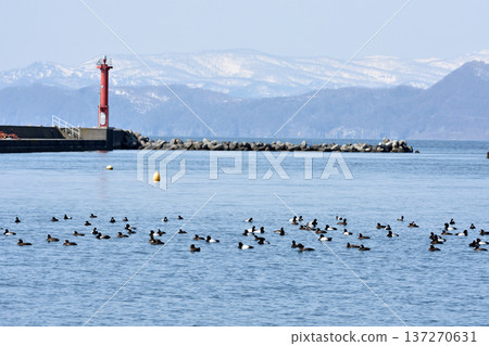 Red lighthouse at Abuta Fishing Port 137270631