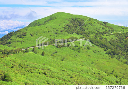 伊豆半島伊豆山脊步道：從甲岐山眺望綠色的達摩山 137270736