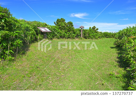 伊豆半島 伊豆山脊步道 夏季小木山峰 綠峰 137270737