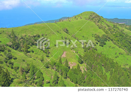 伊豆半島伊豆山脊步道:從甲岐山眺望青山和駿河灣 伊豆半島伊豆山脊步道:從甲岐山眺望青山和駿河灣 137270740