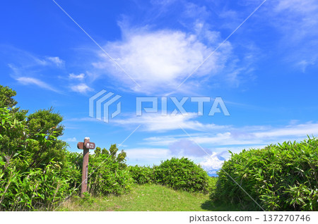 伊豆半島伊豆山脊步道：夏季，高岐山頂峰上空，藍天白雲。 137270746