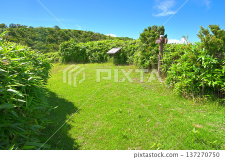 伊豆半島 伊豆山脊步道 夏季小木山峰 綠峰 137270750