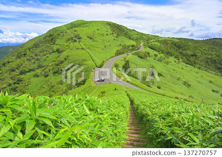 伊豆半島 - 夏季伊豆山脊步道 - 西伊豆天際線和綠色達摩山 137270757