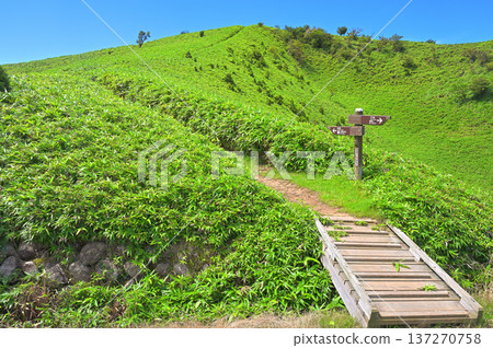 夏季伊豆半島伊豆山脊步道，步道起點位於戶田停車場以南 137270758