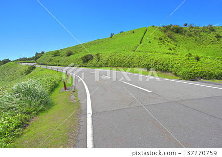 伊豆半島：夏季的伊豆山脊步道和西伊豆天際線 137270759