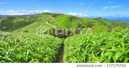 Izu Peninsula - Summer Izu Mountain Ridge Trail - Green mountains, Nishiizu Skyline and Suruga Bay from Mount Daruma 137270765