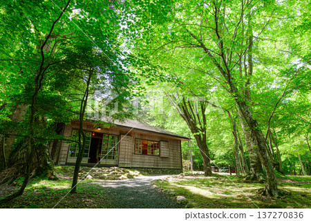 英國大使館別墅紀念公園:一座西式建築,四周綠樹環繞 英國大使館別墅紀念公園:一座西式建築,四周綠樹環繞 137270836