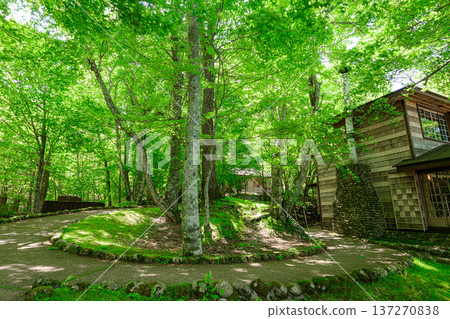 英國大使館別墅紀念公園：一座西式建築，四周綠樹環繞 137270838