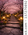 Stone-paved stairs lined with cherry blossom trees 137270892