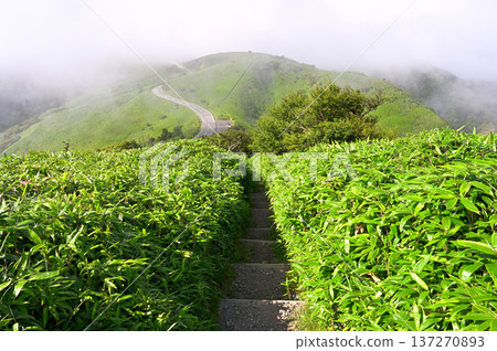 Izu Peninsula Izuyama Ridge Trail, Darumayama Trail, Ridge Trail on a clear summer day Izu Peninsula Izuyama Ridge Trail, Darumayama Trail, Ridge Trail on a clear summer day 137270893
