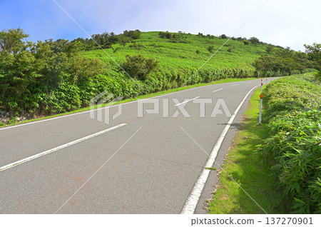 伊豆半島伊豆山脊步道:從西伊豆天際線上的戶田停車場前往達摩山 伊豆半島伊豆山脊步道:從西伊豆天際線上的戶田停車場前往達摩山 137270901