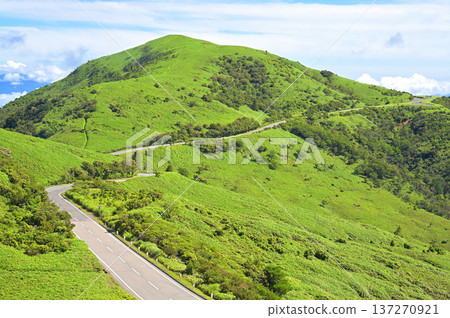 Izu Peninsula's Izu Mountain Ridge Trail: Mount Daruma and the Nishiizu Skyline in Summer Izu Peninsula's Izu Mountain Ridge Trail: Mount Daruma and the Nishiizu Skyline in Summer 137270921