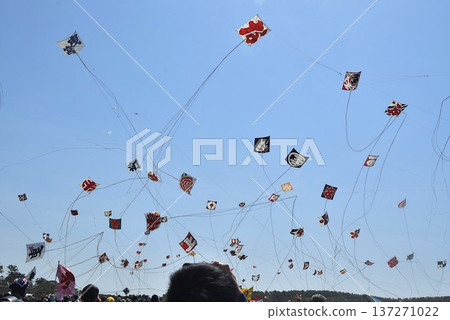 Hamamatsu Festival 2025 Kite Flying Battle Hamamatsu Festival 2025 Kite Flying Battle 137271022