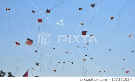 2025年濱松祭風箏比賽 137271024