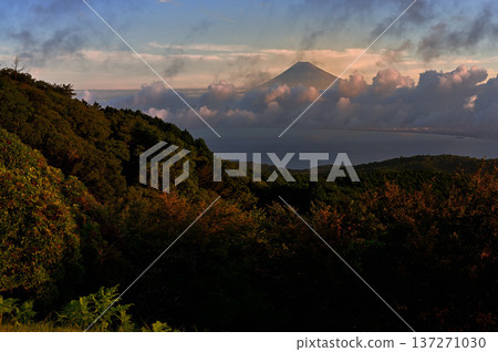 Suruga Bay and Mount Fuji at sunrise from Darumayama Plateau, Izu City, Shizuoka Prefecture Suruga Bay and Mount Fuji at sunrise from Darumayama Plateau, Izu City, Shizuoka Prefecture 137271030