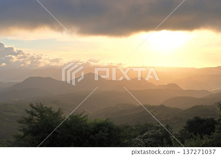 靜岡縣伊豆市達摩山高原的日出 137271037