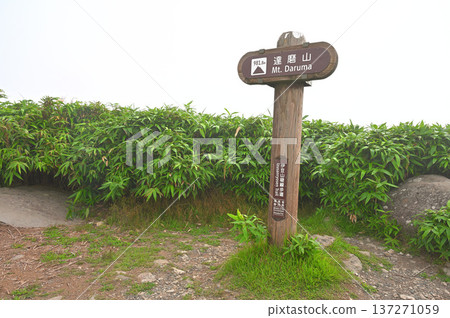 Izu Peninsula's Izuyama Ridge Trail: The summit of Mount Daruma in summer Izu Peninsula's Izuyama Ridge Trail: The summit of Mount Daruma in summer 137271059
